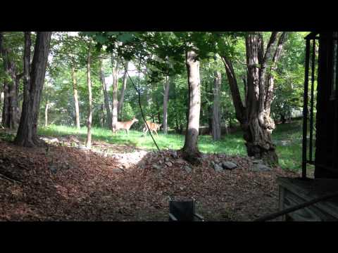 Winthrop Street, Medford