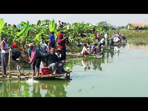 Huge Catla Fish Hunting By Fish Hunters Video