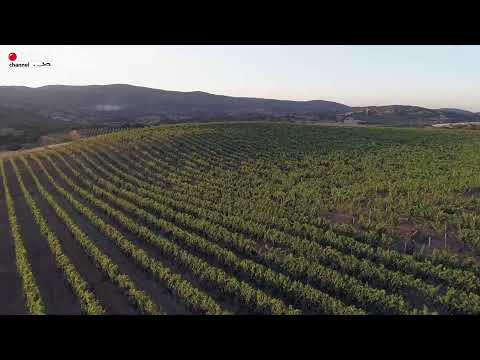 Rosenberg Toni VS Marcolin Paolo - 25 World Championship 5-Pins 2022 Calangianus