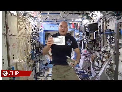 Astro Samantha - La donna dei record nello spazio 