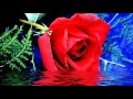 The Floral Dance ( Gheorghe Zamfir)no 2