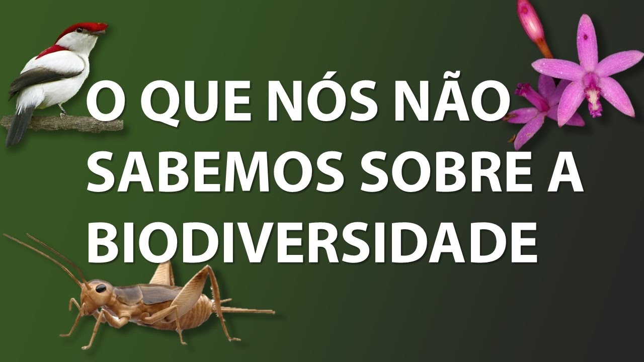 O QUE NÃO SABEMOS SOBRE A BIODIVERSIDADE (English subtitles)