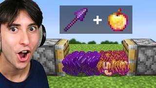 Minecraft, But You Can Fuse EVERYTHING...