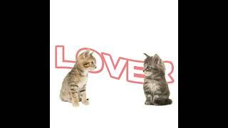 Cover art for hey, hey lover!