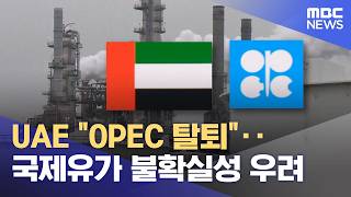 UAE OPEC 탈퇴‥국제유가 불확실성 우려 (2026.04.29/5시뉴스와경제/MBC)