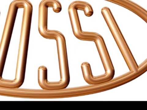 Rossi Lutioner's Diary