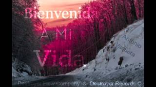 Bienvenida A Mi Vida - Antonio Vaquera (DestroyerRecords -&- D-Real)