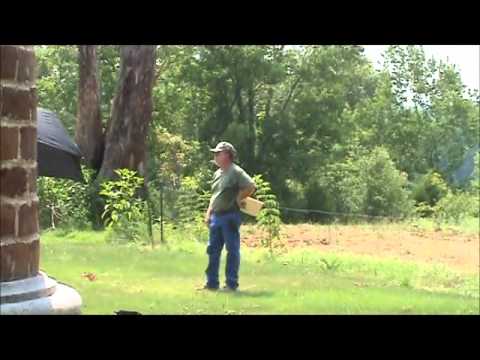 Forks of Cypress Video 4