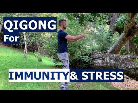Qigong to Boost Immunity and Lower Stress - Zhan Zhuang - Natural Medicine for Immune Health