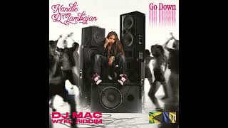 Kandie D'Jambajan - Go Down (WYFL Riddim) [Audio Visualizer]