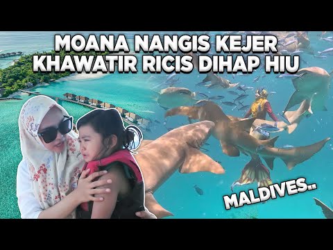 MOANA CAN'T STOP CRYING... IS IT BECAUSE RICIS IS GOING TO SWIM WITH A K*LLER SHARK?!"