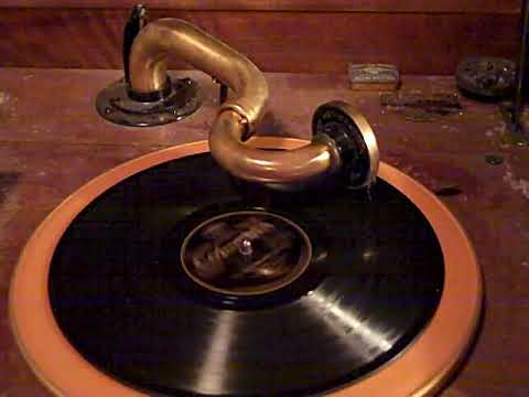 THE COLUMBIANS BEN SELVIN VIVA-TONAL - THE MORE WE ARE TOGETHER - ROARING 20'S VICTROLA 8 30