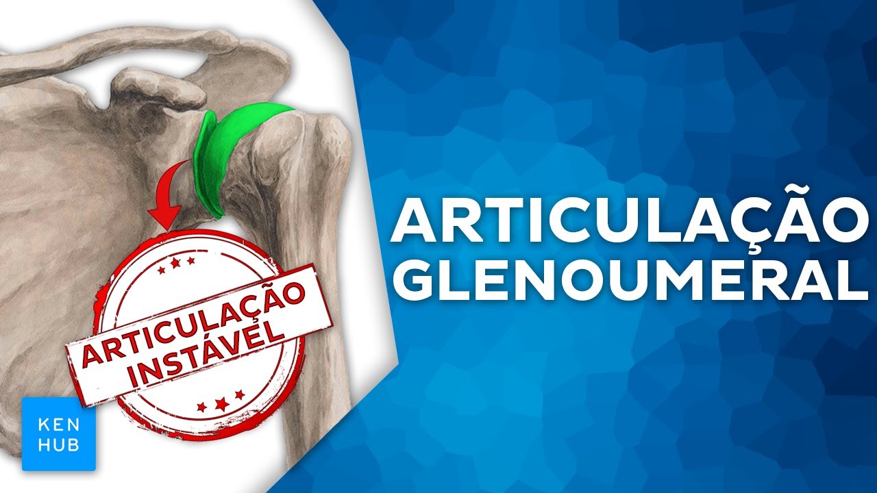 Articulação glenoumeral: esses 2 conceitos são fundamentais (anatomia)