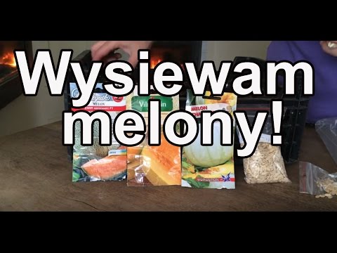 Apteka oznacza wzmocnienie włosów Do włosów przywrócenie klinice