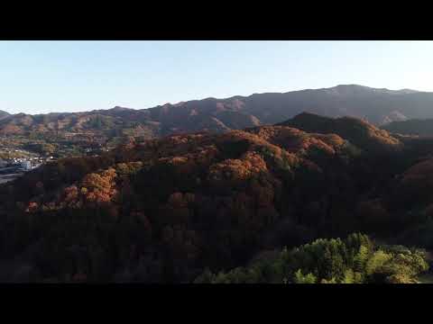 【Drone空撮映像】甘楽町紅葉山を空から撮影しました！