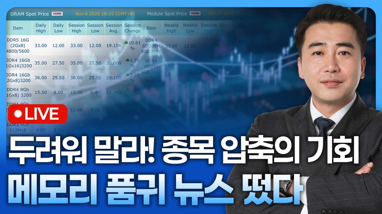 두려워 말라! 메모리 품귀 뉴스 떴다 | 종목쇼 '이경락의 히트존' 251107