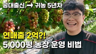 샤인머스켓, 캠벨포도, 홍주씨들리스 현 시점 가장 추천하는 품종은?