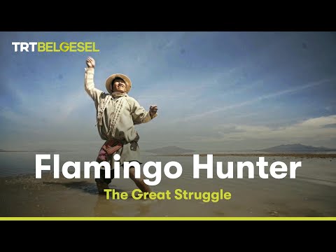 Flamingo Hunter | The Great Struggle