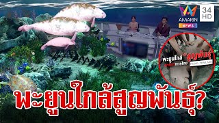 ระบบนิเวศพัง? สัญญาณบ่งชี้การตายของพะยูน | ทุบโต๊ะข่าว | 28/3/67