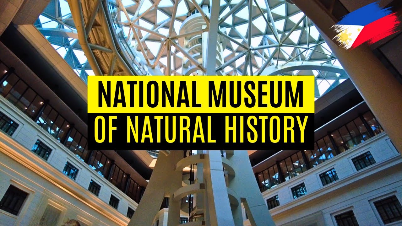 Discover the captivating highlights of National Museum of Natural History.