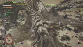 [MHWs]モンハンリハビリなうw