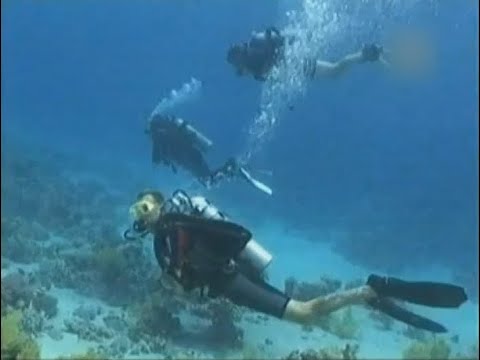 Необычные обитатели Тихого океана. Красивое, расслабляющее видео для медитации.