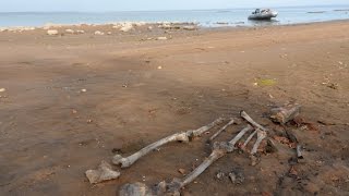 Рыбалка на рыбинском водохранилище прокат лодок