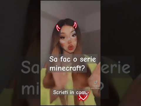 Sa fac Minecraft?