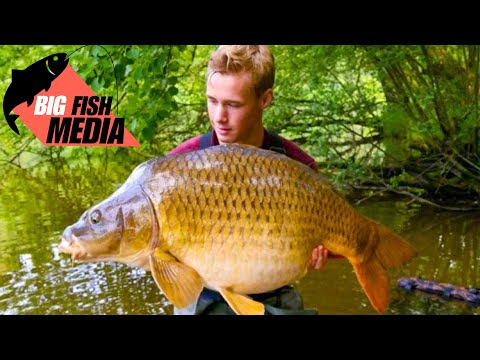 Carp fishing - Boilies against particles