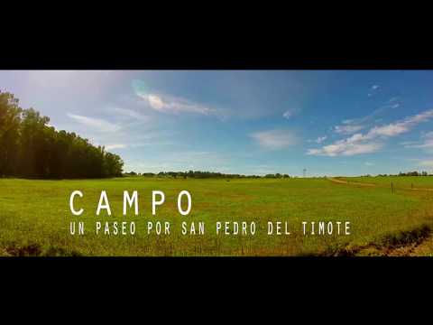 Campo, un paseo por San Pedro del Timote