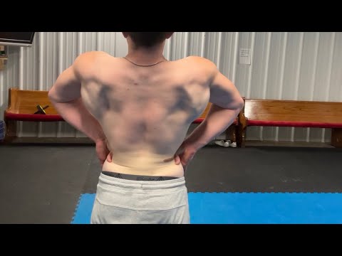 Winter bulk day 61- Christmas special back day