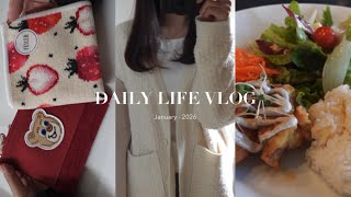 vlog | 2026☃️,社会人の日常🤍,最近の購入品(FEILER,CASETIFY),誕生日,カフェランチ☕️