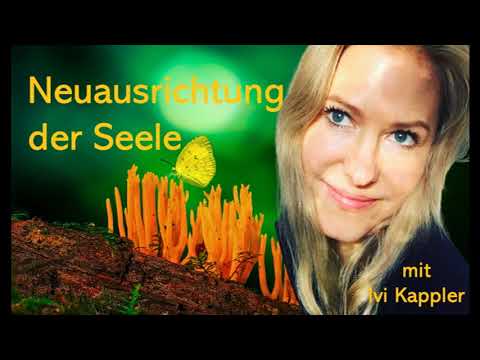 🦋Neuausrichtung der Seele:  Faktor Zeit - Deja vus - Lichtkörper - KI