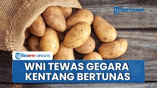 Viral Kisah Pasutri WNI Meninggal Dunia di Jepang seusai Makan Kentang Bertunas, Ini Penjelasannya