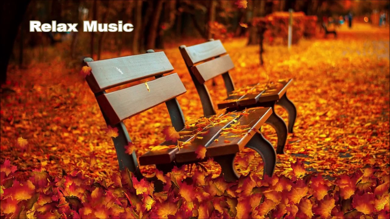 【ヒーリング音楽】α波が出て心身リラックス、ストレス軽減、DNA修復、瞑想、マインドフルネス｜熟睡モード