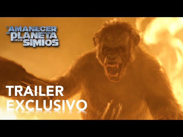 Vídeo relacionado con El Planeta de los Simios (Blu-ray) Pack 3 peliculas: El Origen del Planeta de los Simios, El Amanecer del Planeta de los Simios, La Guerra del Planeta de los Simios