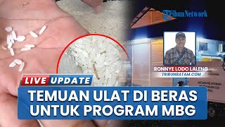 Beras Premium untuk Program MBG di Bintan Timur Diduga Berulat Jadi Sorotan, Wali Murid Was-was
