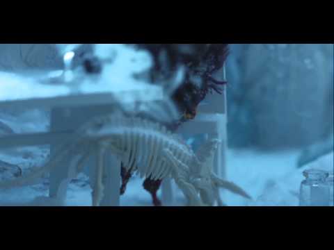 Cristian Popa  Amintiri