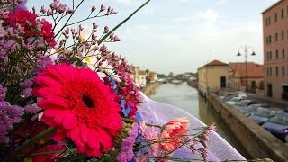 preview picture of video 'Canale Fiorito a Battaglia Terme nella provincia di Padova'