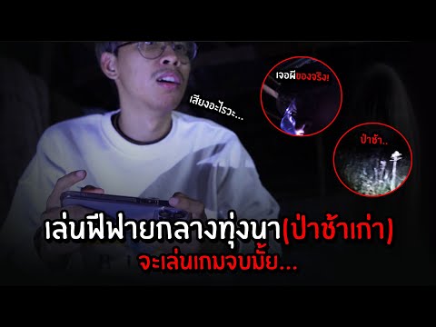 ฟีฟาย