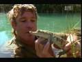 Crocodile Hunter Crocs In The City Part 3 5
