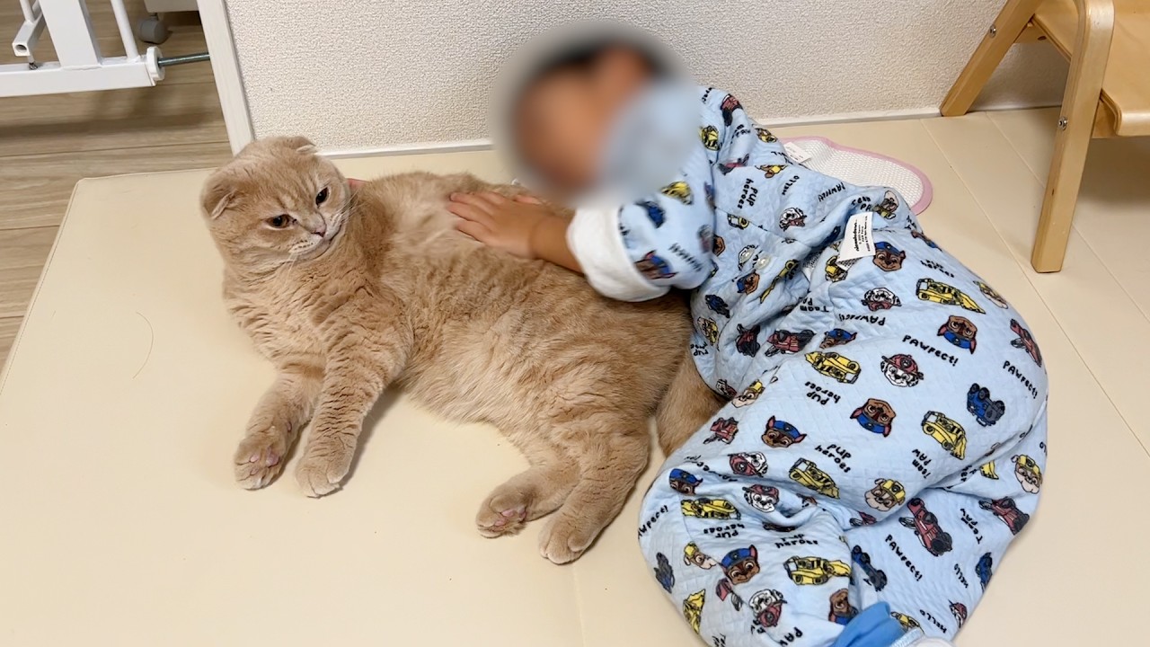 今年もありがとうございました!!