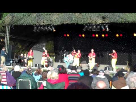 skiffle from The Jive Aces Twinwood 2011