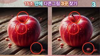 [15초다른그림찾기sb/@FINDIT-sb] 찾기고수,99%가찾은다른그림찾기[두뇌운동/집중력/기억력/인지력/치매예방/brain exercise]