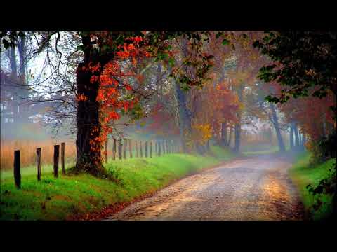 EFTERÅR - Valdemar Davids med Renard's danseorkester 1936