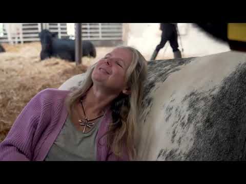 英国の農場、食料安でミルクを牛の抱擁に切り替える｜REUTERS (UK farm swaps milk for cow cuddles due to low food prices | REUTERS)