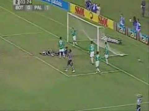 Botafogo 1 x 1 Palmeiras - 06/09/2007 (Brasileirão 2007)