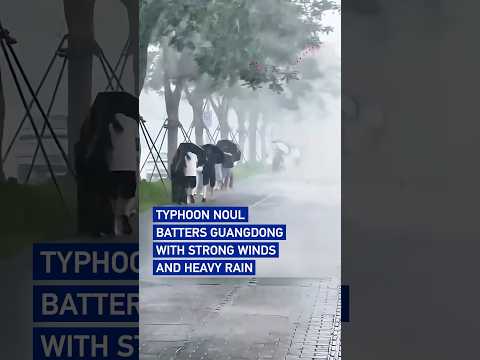 Typhoon Noul batters Guangdong with strong winds and heavy rain #worldnow