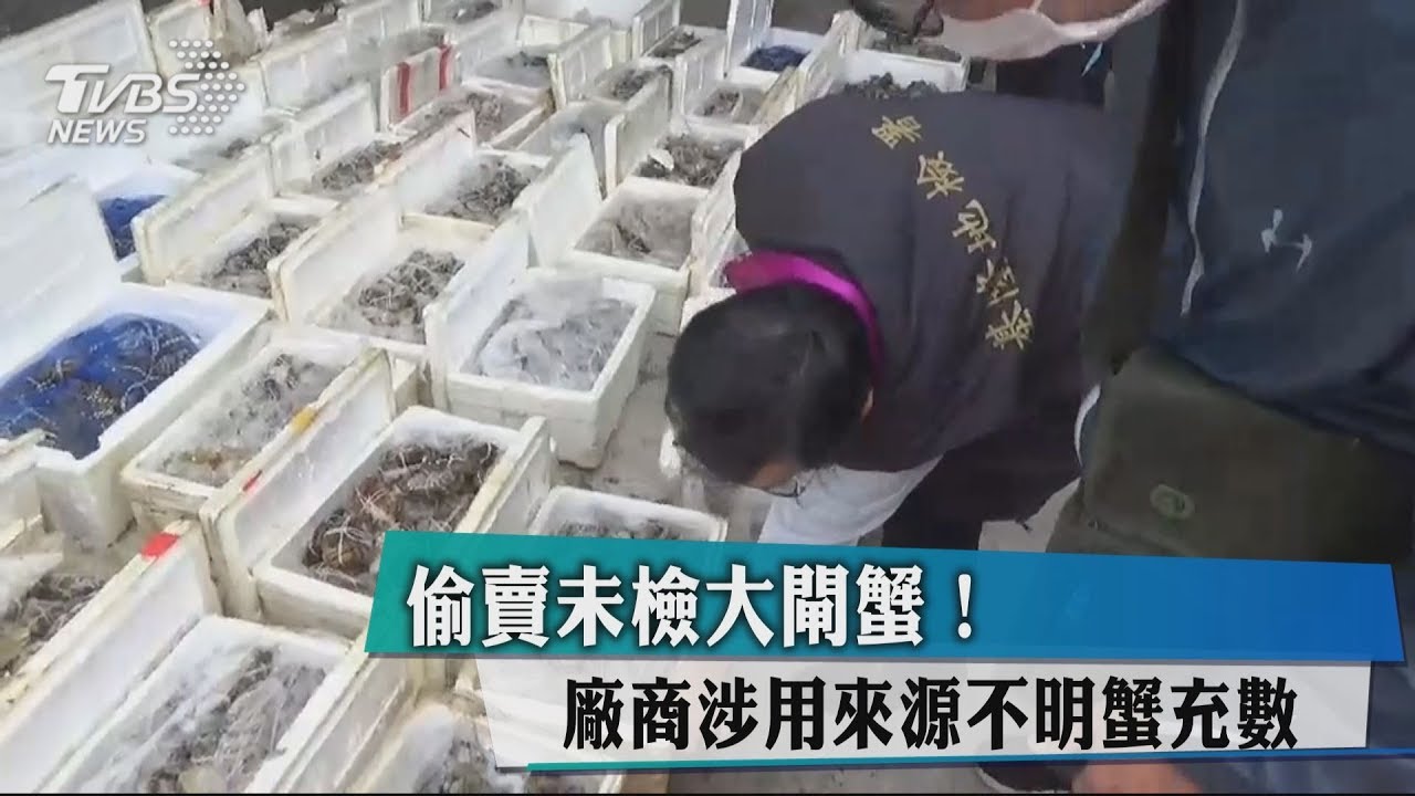 偷賣未檢大閘蟹! 廠商涉用來源不明蟹充數