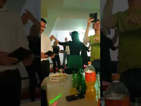 Sin od oca Glise Predrag Kretić dinasrsko srce